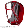 Gregory Z25 Pack