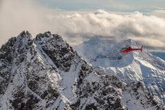 Helicopter Tour in Denali Glacier