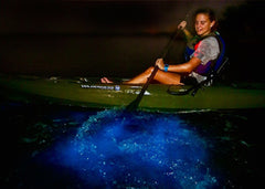 Bioluminescent Kayaking in Florida