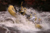 Folliage Whitewater Rafting in Maine