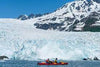 Aialik Glacier Sea Kayak and Wildlife Tour in Alaska