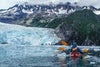 Aialik Glacier Sea Kayak and Wildlife Tour in Alaska