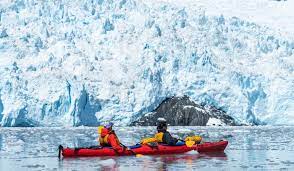 Aialik Glacier Sea Kayak and Wildlife Tour in Alaska