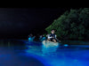 Bioluminescent Kayaking in Florida